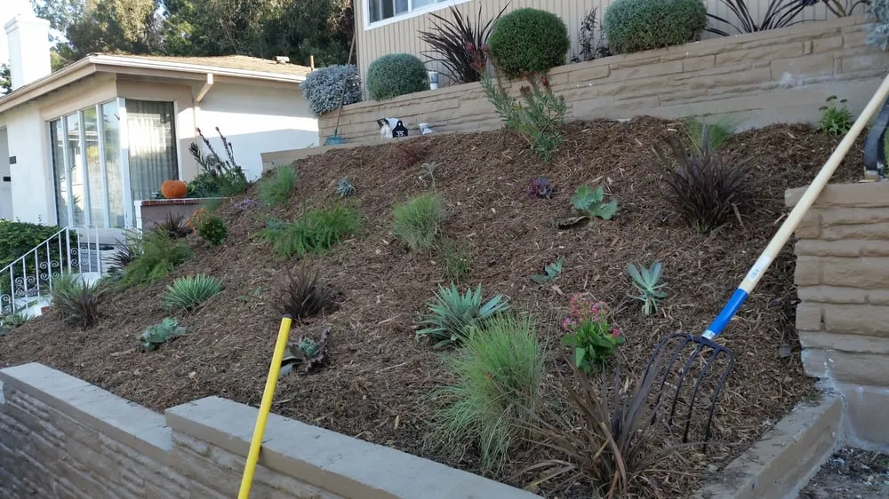 Reliable landscape installation in Los Angeles, CA - Westside Landscaping
