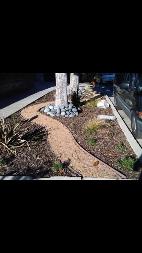 Local lawn care service in Los Angeles, CA by Westside Landscaping