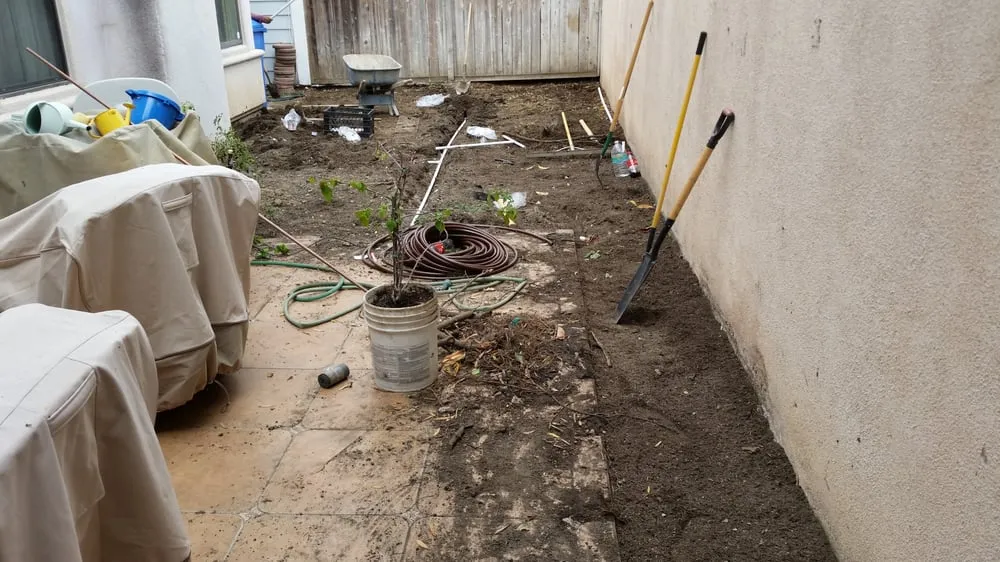 Affordable landscape design for year-round maintenance across Los Angeles, CA - Westside Landscaping