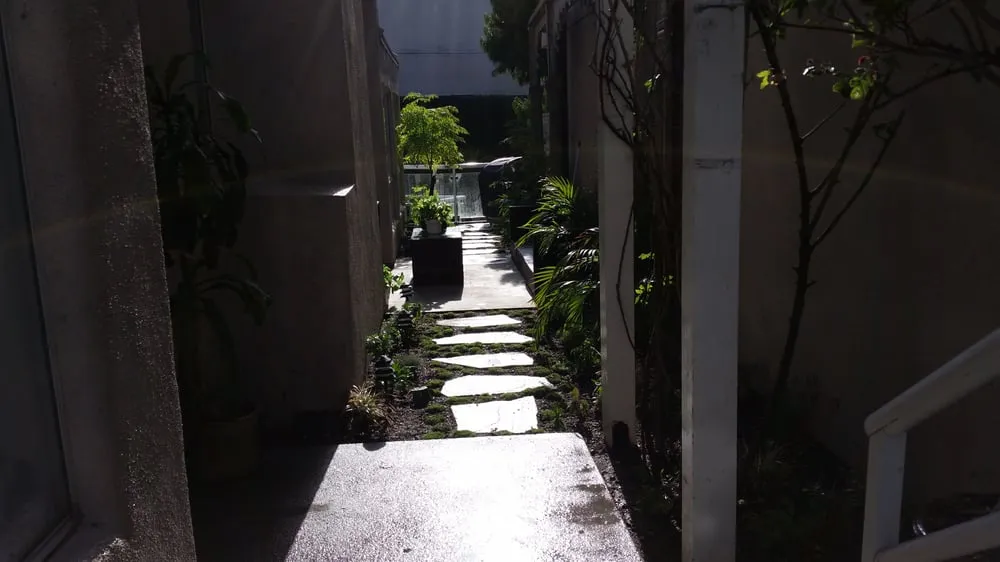 Custom yard maintenance in Los Angeles, CA - Westside Landscaping