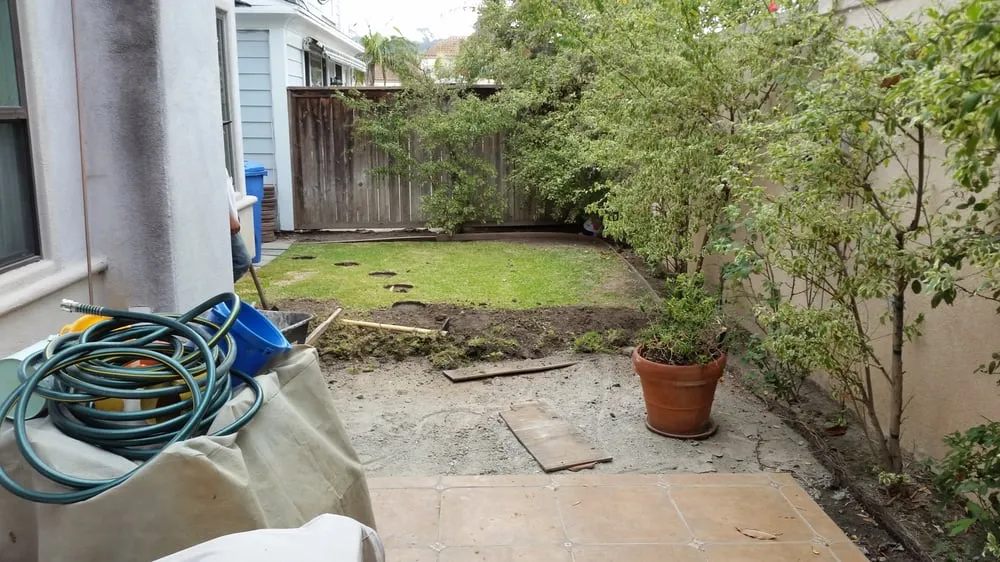 Custom lawn care service for homes across Los Angeles, CA - Westside Landscaping