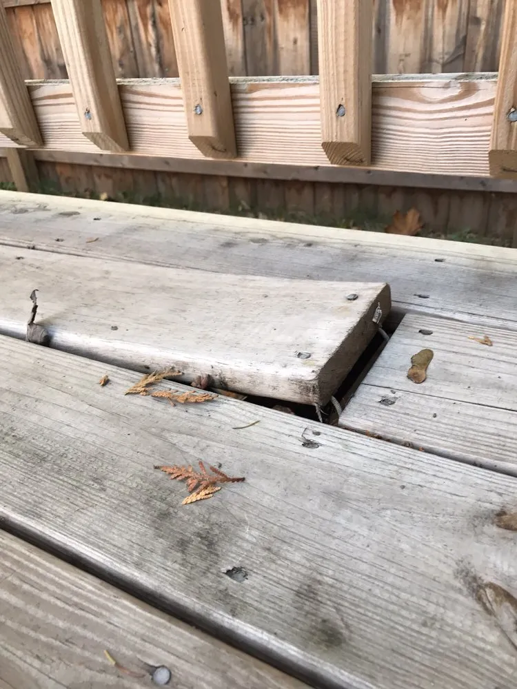 Professional outdoor landscaping in Rochester, NY by Westside Professional Landscape