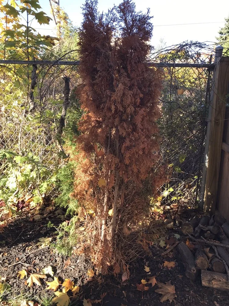 Reliable landscape installation in Rochester, NY by Westside Professional Landscape