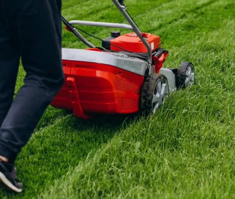 Affordable lawn mowing service for beautiful yards across Lorain, OH - Westside property management