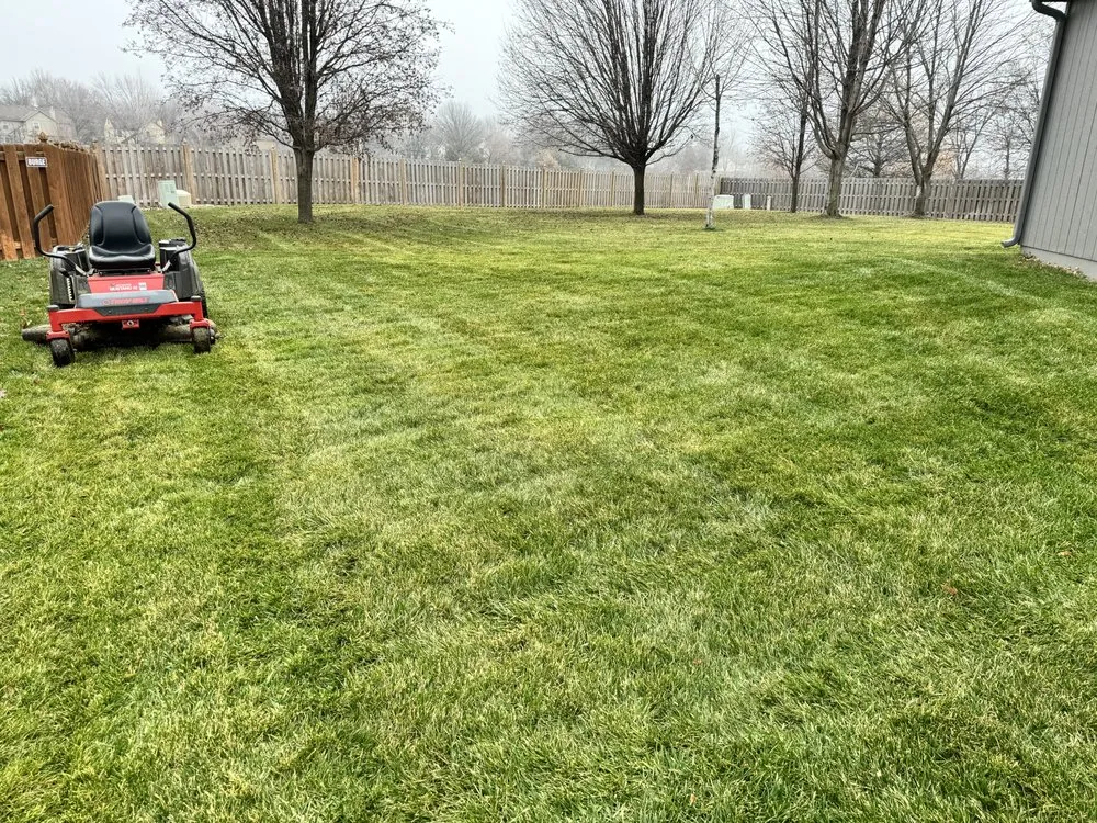 Professional garden landscaping for year-round maintenance across Lenexa, KS - Westside Solutions