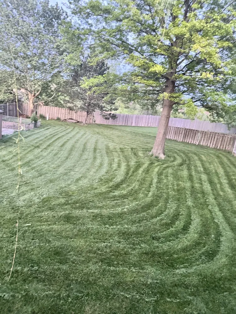 Expert lawn care service for year-round maintenance in Lenexa, KS by Westside Solutions