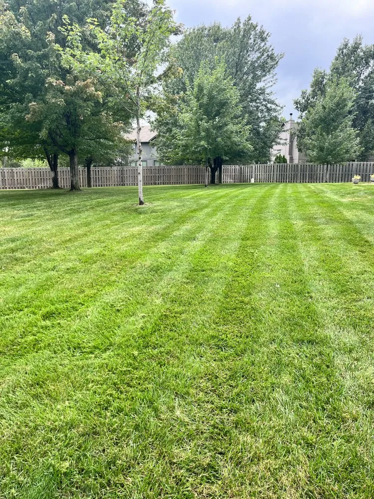 Reliable lawn care service experts serving Lenexa, KS - Westside Solutions