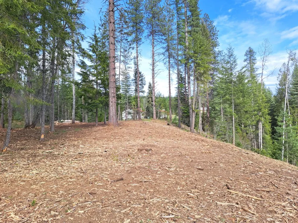 Affordable landscaping services in Coeur d'Alene, ID by Westside Solutions LLC