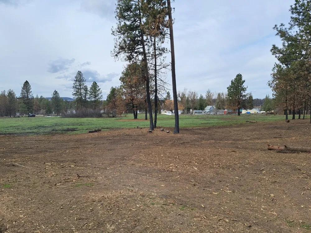 Expert yard cleanup service near you in Coeur d'Alene, ID by Westside Solutions LLC