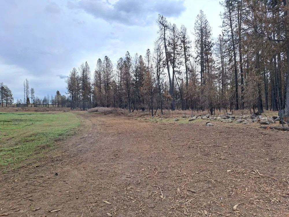 Professional outdoor landscaping for beautiful yards in Coeur d'Alene, ID by Westside Solutions LLC