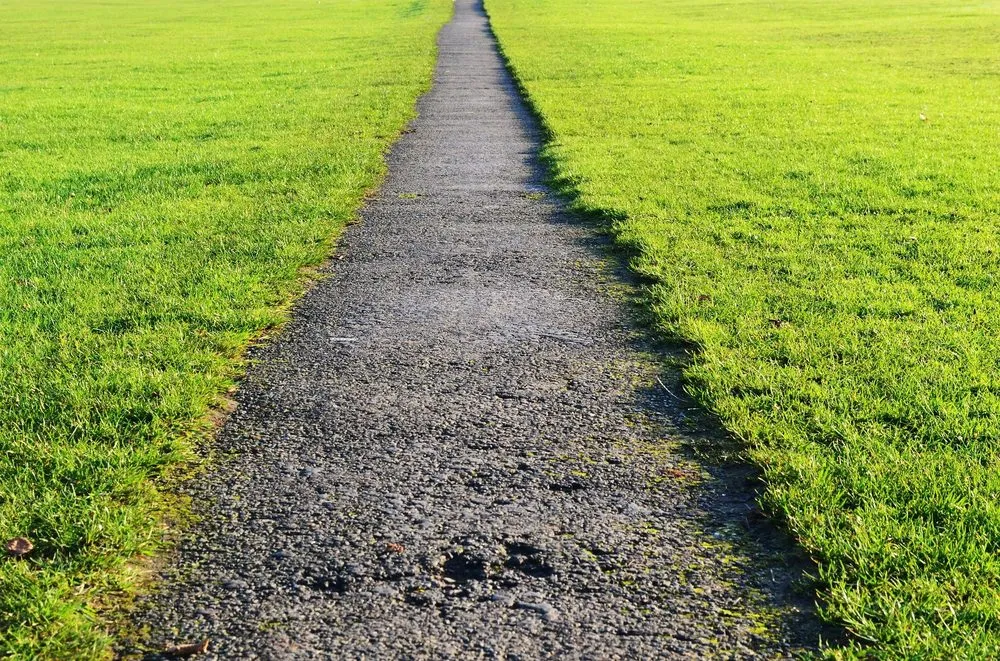 Trusted garden landscaping for outdoor upgrades across Rosenberg, TX - WestTurf Texas