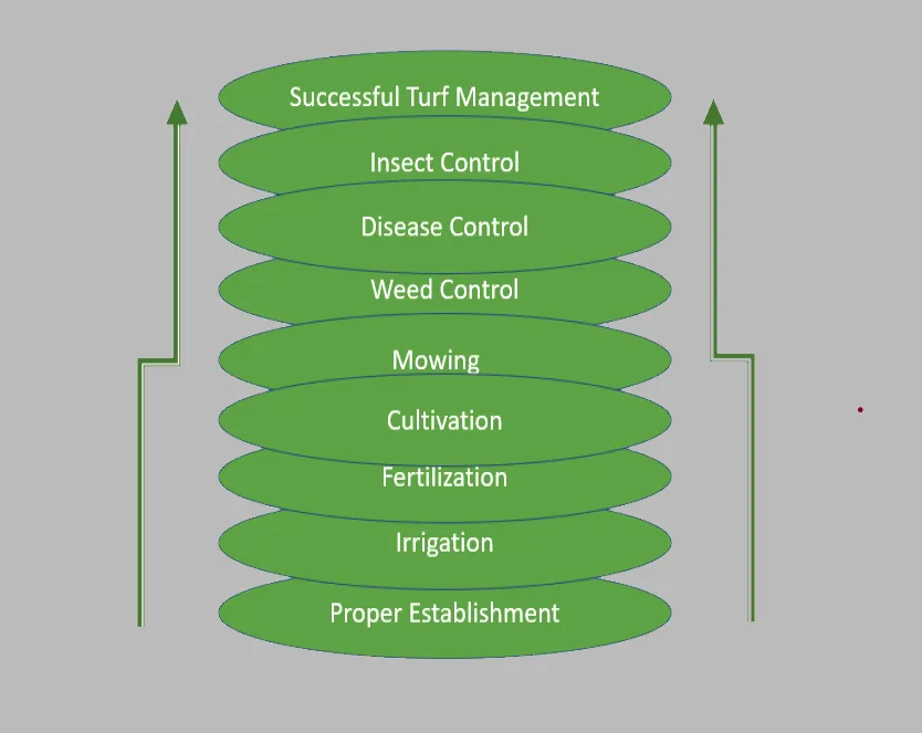 Expert landscaping services experts serving Rosenberg, TX - WestTurf Texas