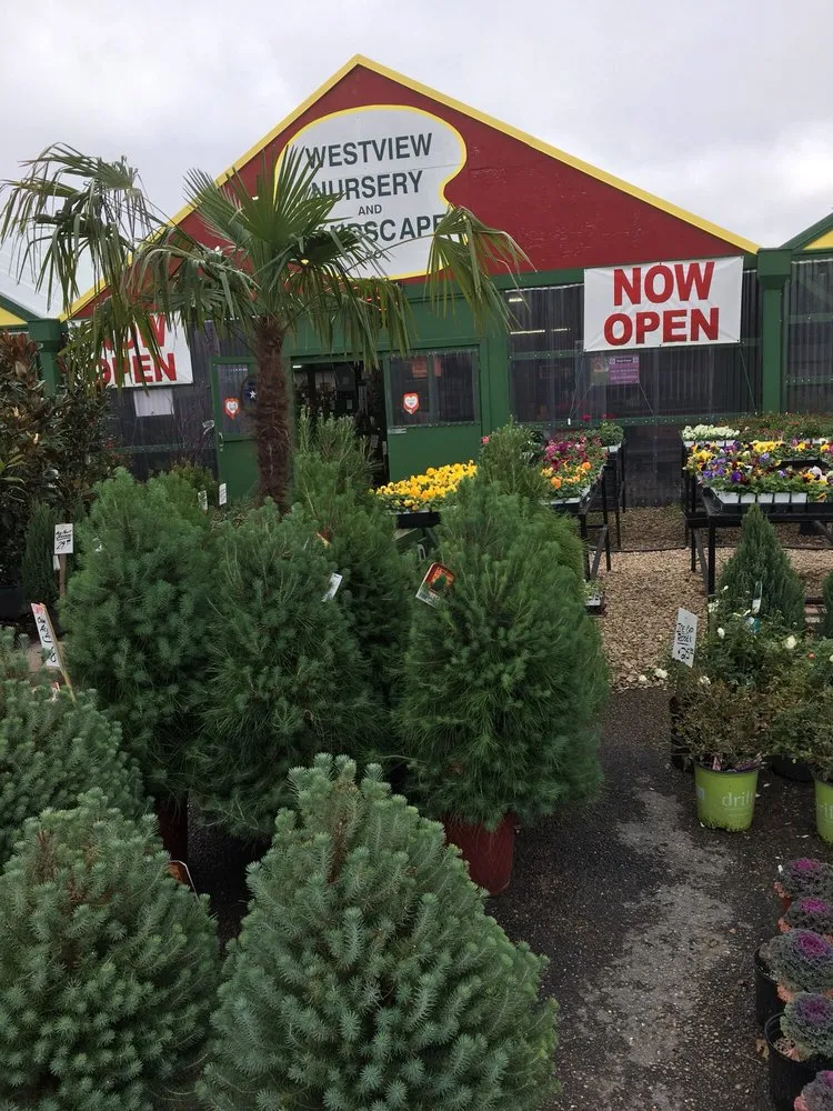 Top-rated lawn mowing service for outdoor upgrades across Waco, TX - Westview Nursery & Landscape