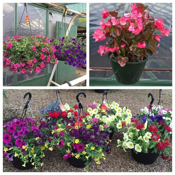 Local landscaping services in Waco, TX - Westview Nursery & Landscape