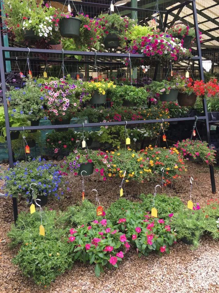 Custom lawn care service with custom design in Waco, TX by Westview Nursery & Landscape