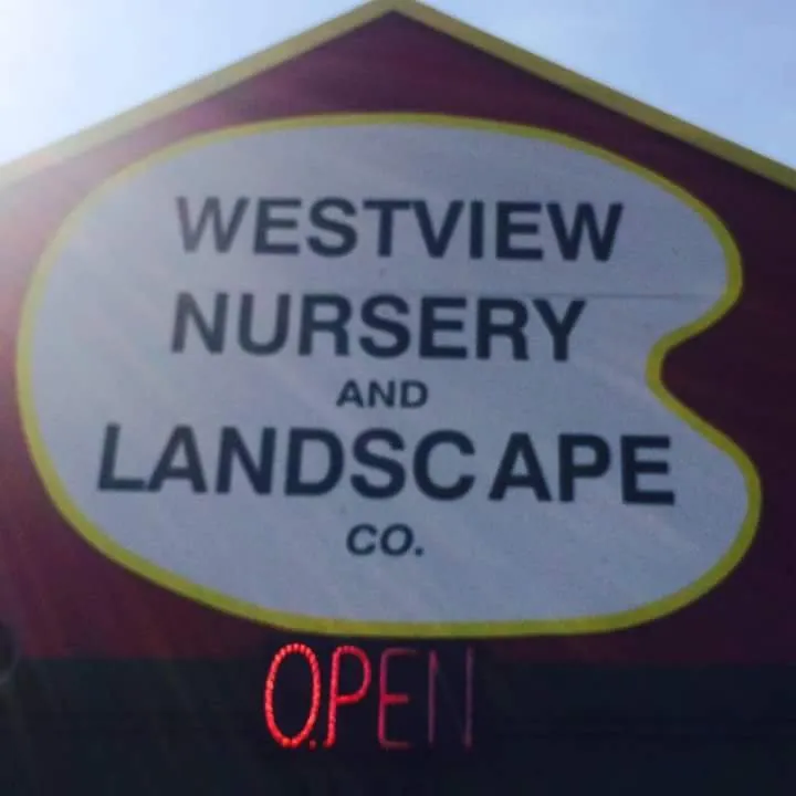 Professional yard cleanup service in Waco, TX - Westview Nursery & Landscape