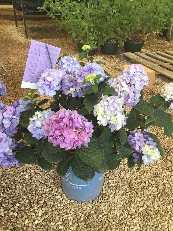 Trusted outdoor landscaping experts serving Waco, TX - Westview Nursery & Landscape