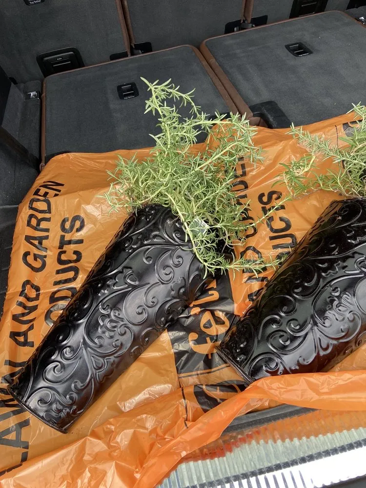 Local yard cleanup service experts serving Waco, TX - Westview Nursery & Landscape