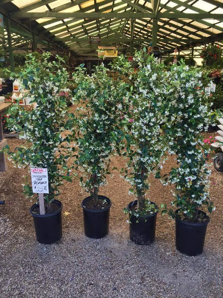 Top-rated outdoor landscaping in Waco, TX by Westview Nursery & Landscape