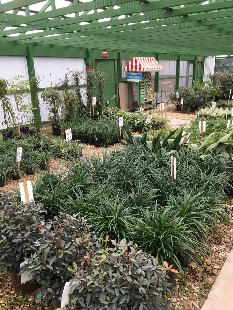 Professional landscape installation with custom design in Waco, TX by Westview Nursery & Landscape