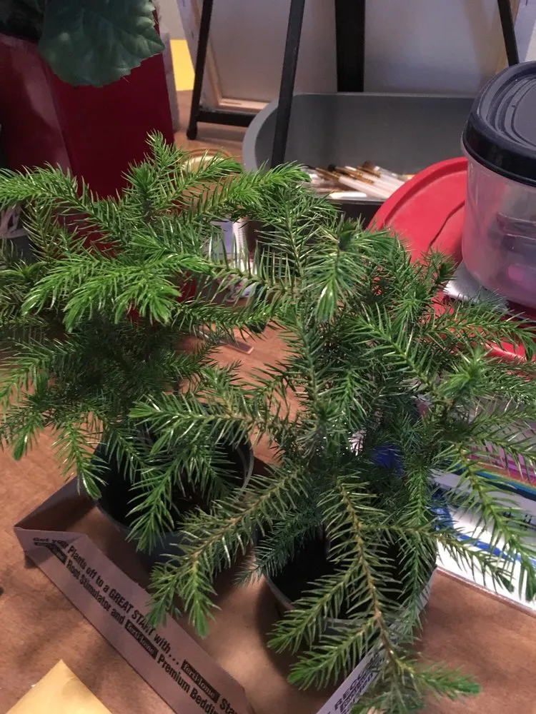 Professional lawn mowing service experts serving Waco, TX - Westview Nursery & Landscape