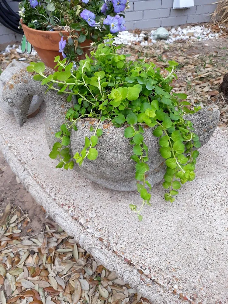 Custom garden landscaping in Waco, TX by Westview Nursery & Landscape