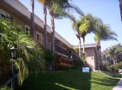 Expert yard maintenance experts serving Spring Valley, CA - Westwind Landscape and Tree Service