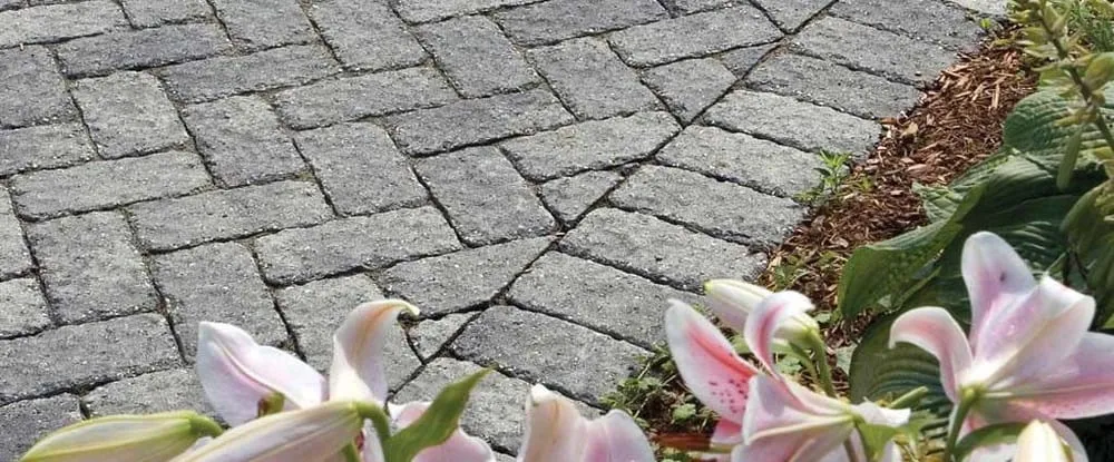 Local yard cleanup service experts serving Buffalo, NY - Westwood Landscaping