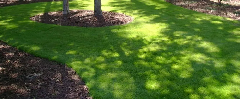 Expert landscape design for outdoor upgrades across Buffalo, NY - Westwood Landscaping