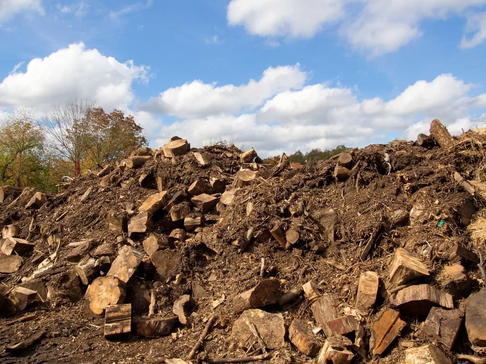 Professional yard maintenance in Bedford Hills, NY - Westwood Organic Recycling