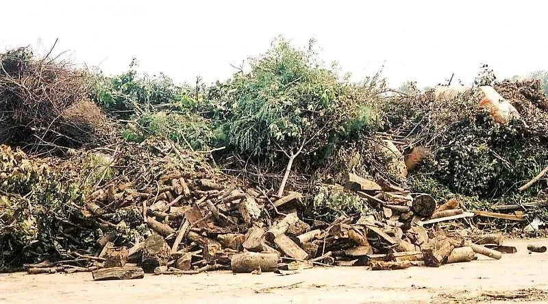 Local yard cleanup service in Bedford Hills, NY - Westwood Organic Recycling