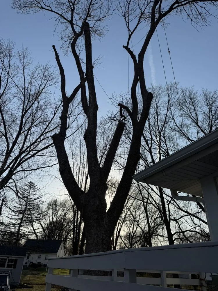 Top-rated yard cleanup service for year-round maintenance across Rochester, MN - Westy !nc