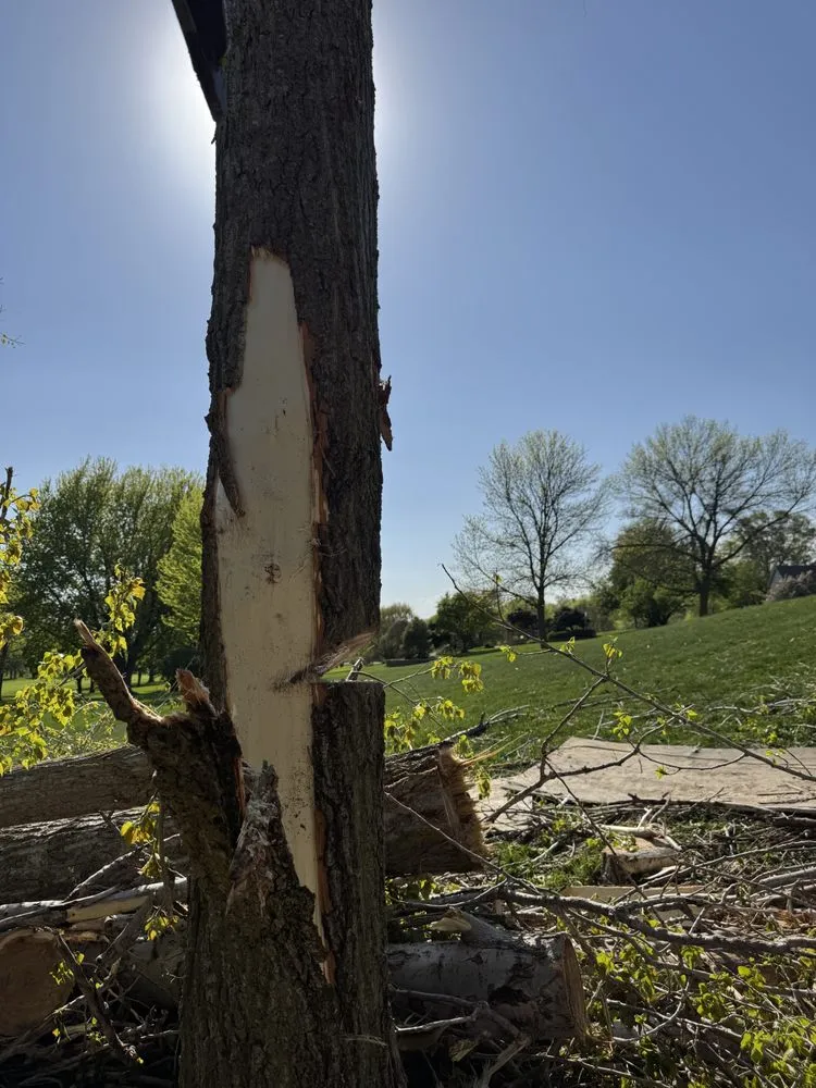 Top-rated outdoor landscaping in Rochester, MN - Westy !nc