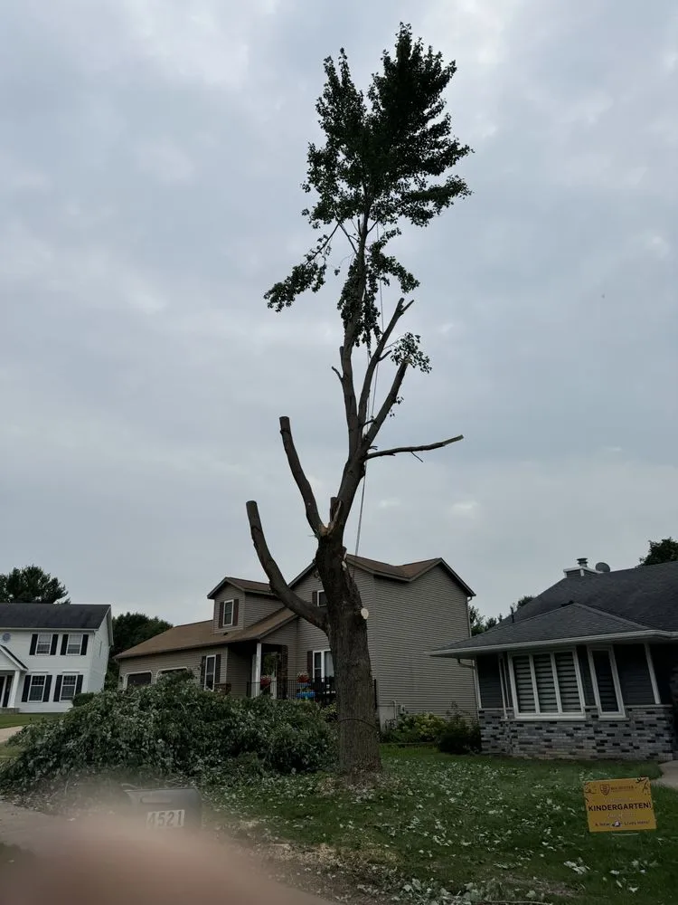 Trusted outdoor landscaping for residential properties in Rochester, MN by Westy !nc