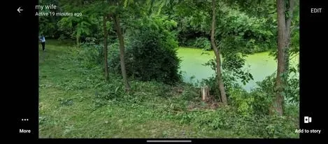 Professional lawn care service for residential properties across Loveland, OH - Wet Workz