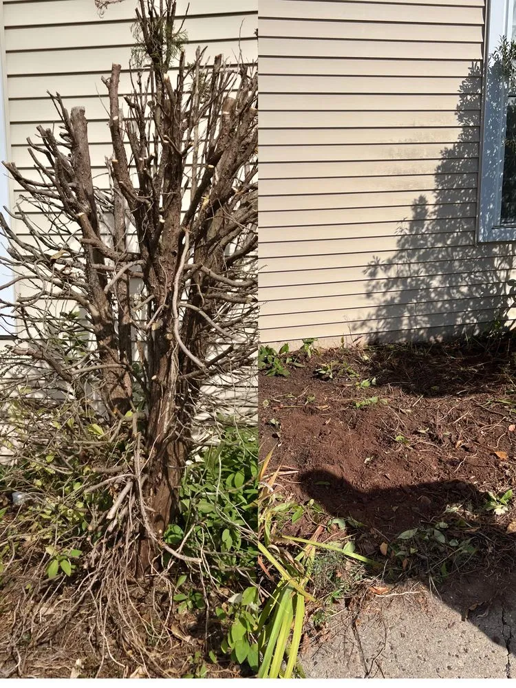 Trusted yard maintenance experts serving Fleetwood, PA - Wetherhold Construction Group