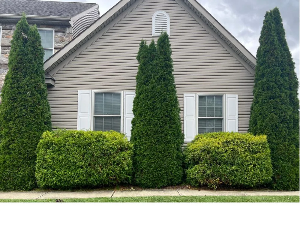 Top-rated yard cleanup service in Fleetwood, PA by Wetherhold Construction Group