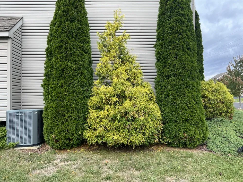 Reliable residential landscaping for homes in Fleetwood, PA by Wetherhold Construction Group