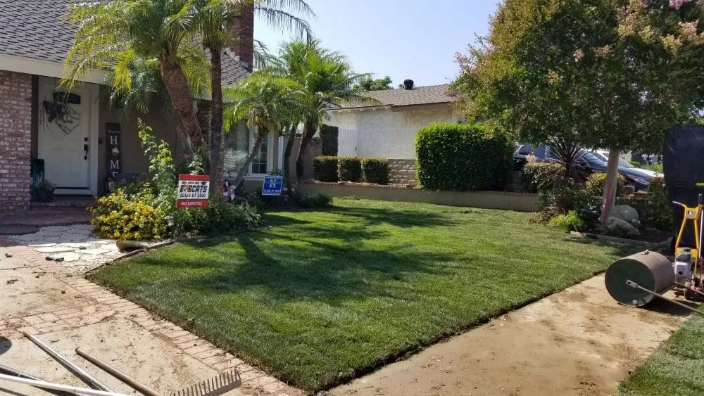 Expert landscape design experts serving Montebello, CA - Wetland Landscaping Maintenance