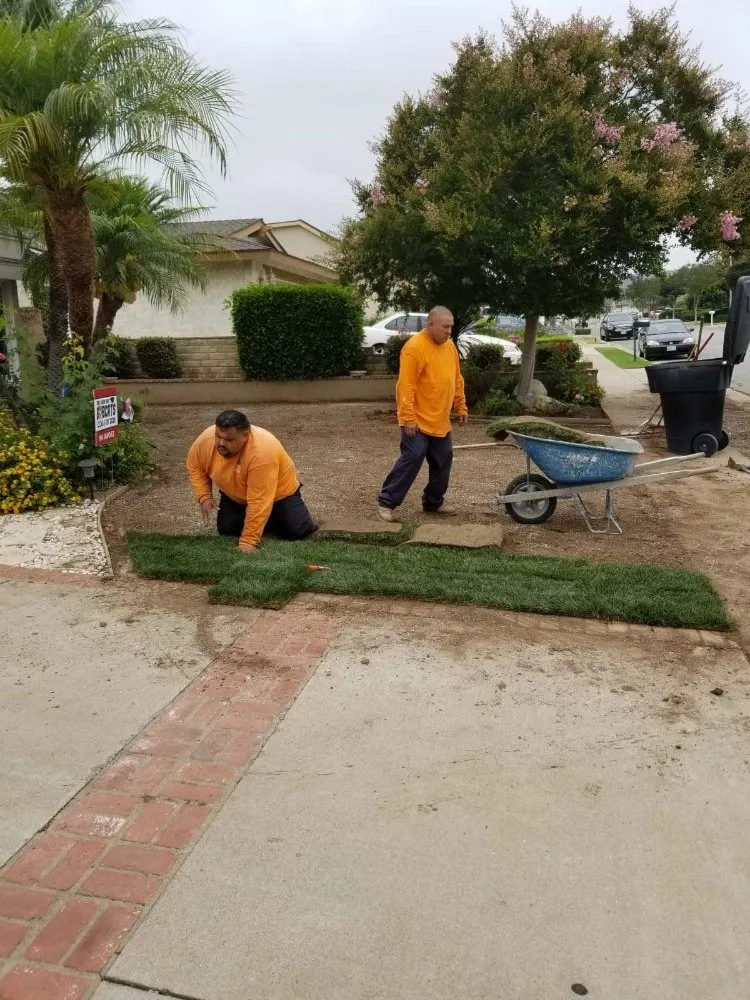 Custom lawn care service for beautiful yards in Montebello, CA by Wetland Landscaping Maintenance