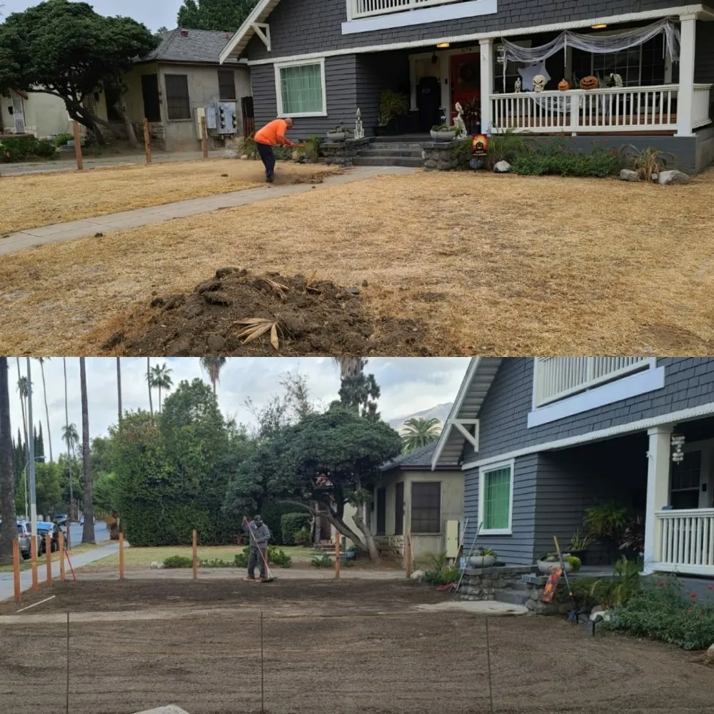 Top-rated outdoor landscaping in Montebello, CA by Wetland Landscaping Maintenance