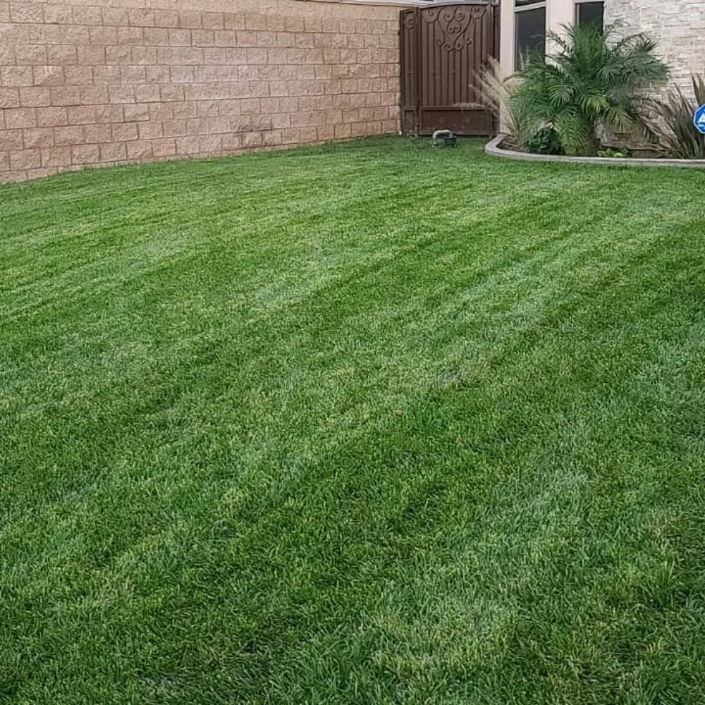 Top-rated landscape design in Montebello, CA by Wetland Landscaping Maintenance