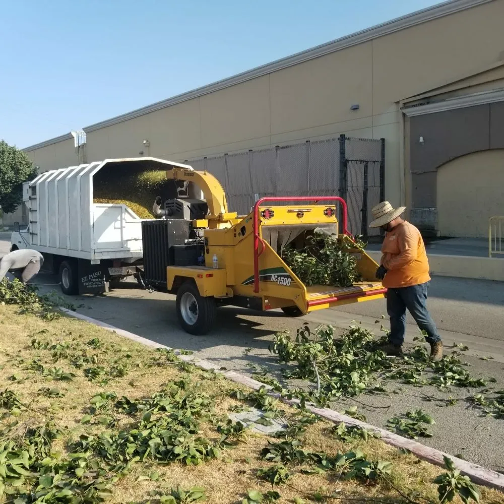 Trusted lawn care service experts serving Montebello, CA - Wetland Landscaping Maintenance