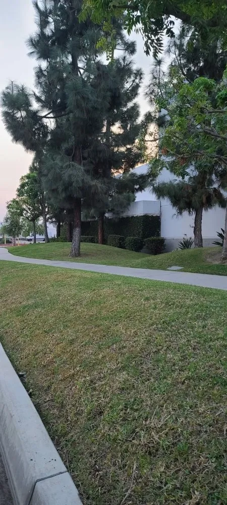 Affordable lawn mowing service in Montebello, CA - Wetland Landscaping Maintenance