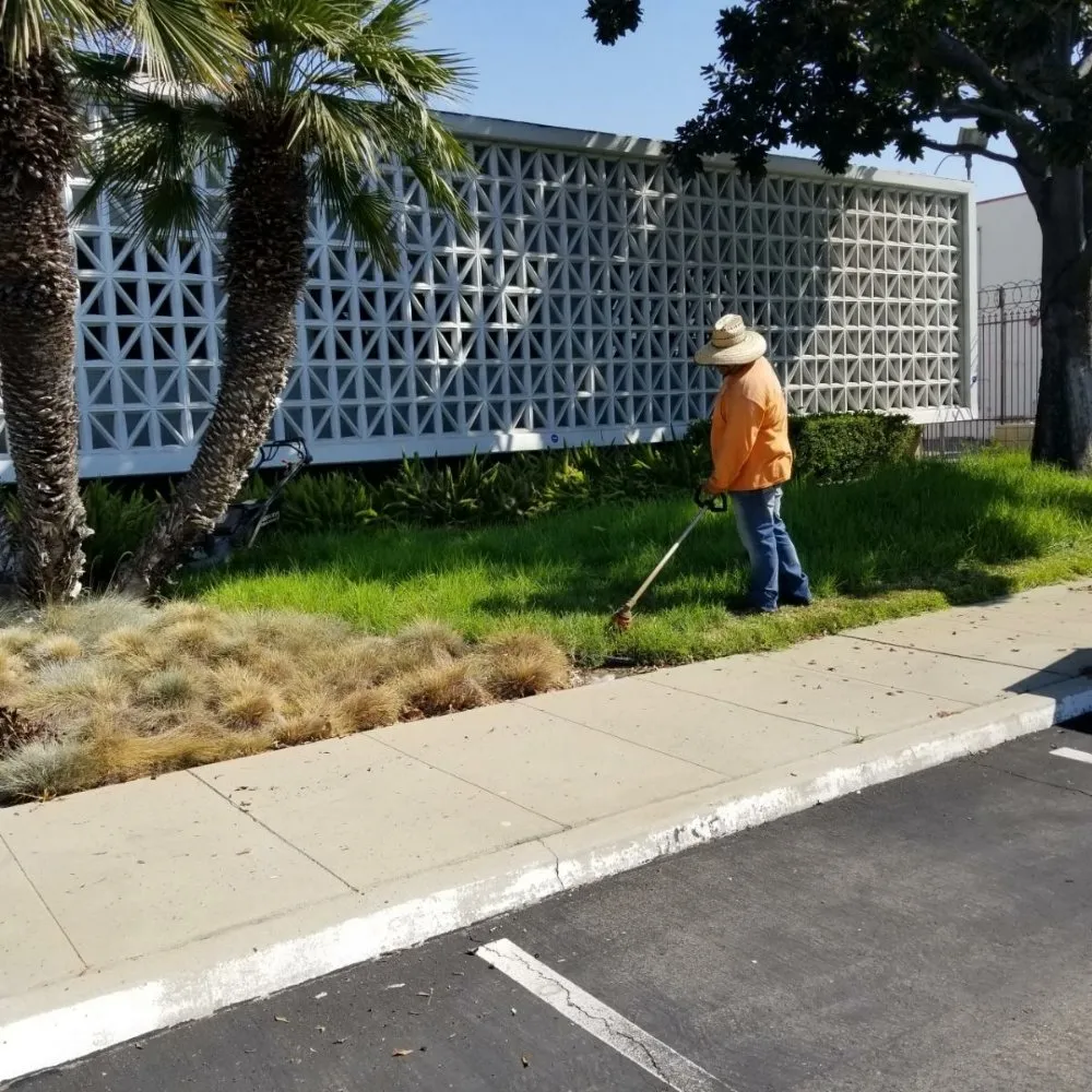 Reliable residential landscaping in Montebello, CA by Wetland Landscaping Maintenance