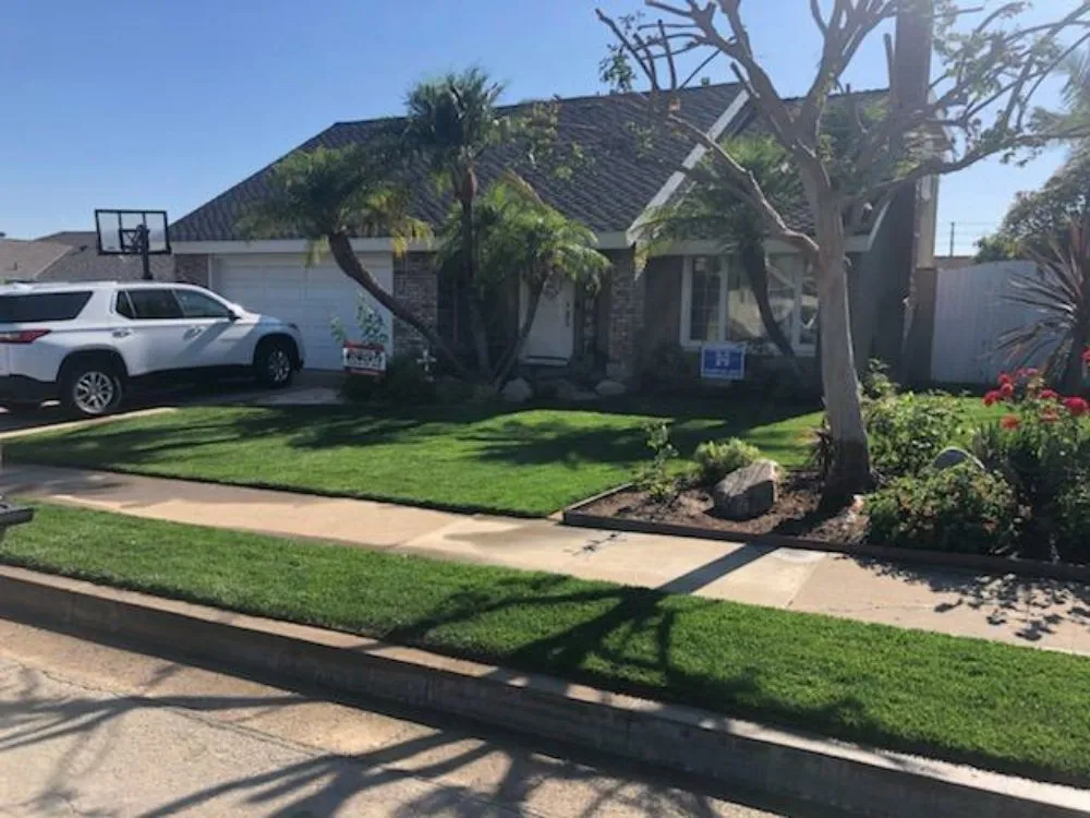 Custom yard cleanup service in Montebello, CA by Wetland Landscaping Maintenance