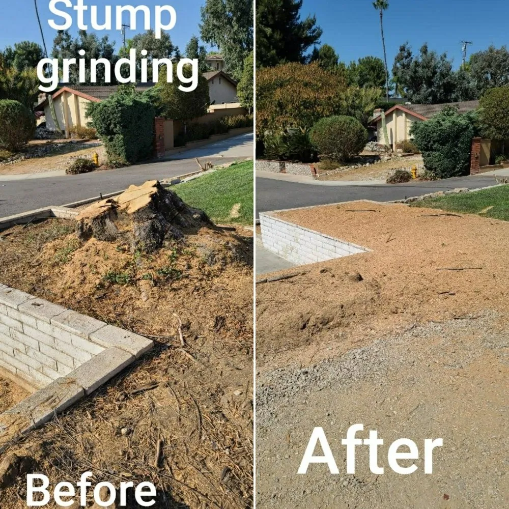 Top-rated residential landscaping in Montebello, CA by Wetland Landscaping Maintenance