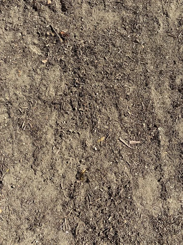 Professional lawn care service with custom design across Montebello, CA - Wetland Landscaping Maintenance