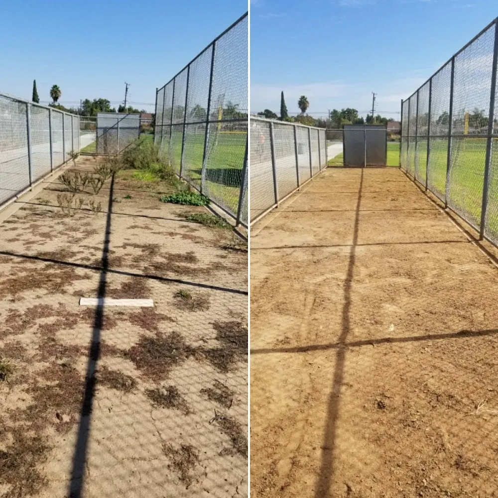 Trusted yard maintenance in Montebello, CA - Wetland Landscaping Maintenance