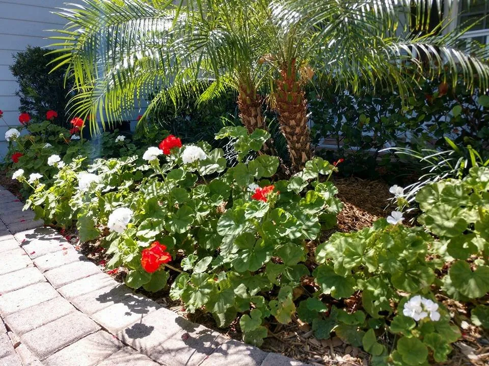 Trusted yard cleanup service for homes across Vero Beach, FL - Wetmiller Landscape Team